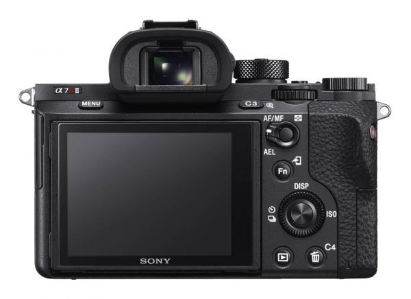 Sony A7Riii - Image 3